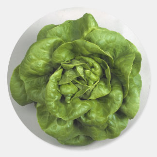 Lettuce Fresh Classic Round Sticker
