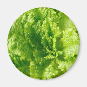 Lettuce Magnet