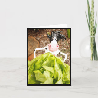 LETTUCE Pray Card