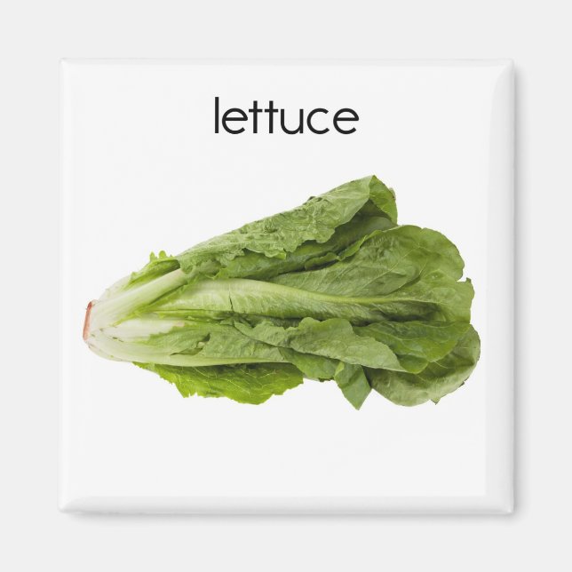 Lettuce Refrigerator Magnet (Front)