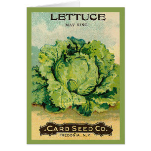 Lettuce Seed Pack
