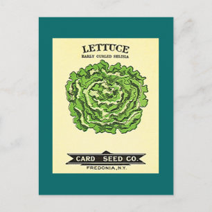 Lettuce Seeds Card Seed Company