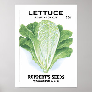 Lettuce Vintage Seed Packet Poster