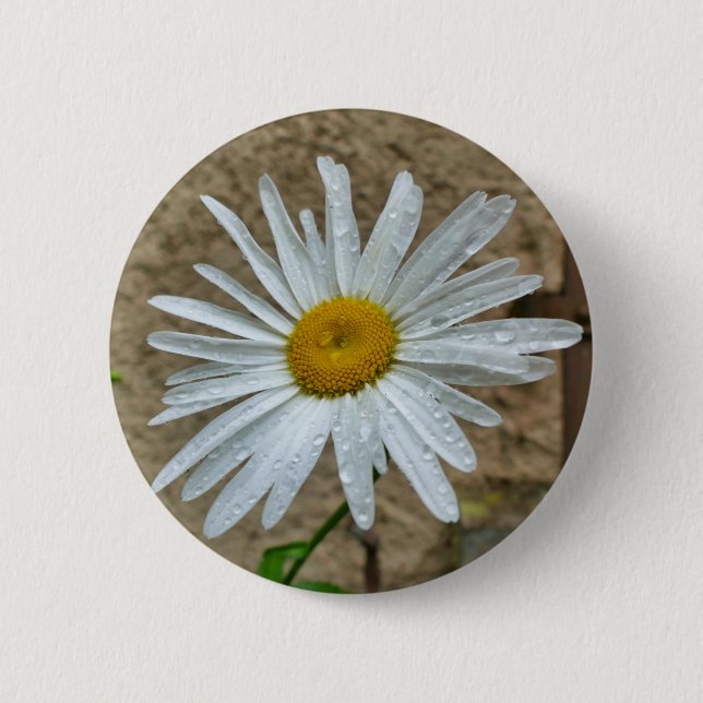 Leucanthemum Bloom Badge 2 Inch Round Button (Front)