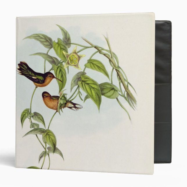 Leucippus Fallax Binder (Front/Inside)