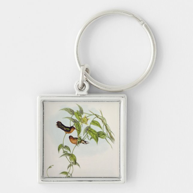 Leucippus Fallax Keychain (Front)