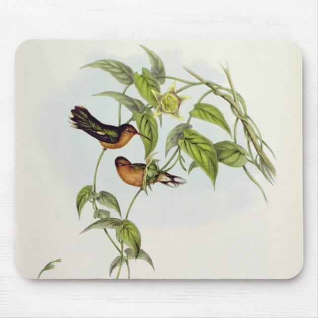 Leucippus Fallax Mouse Pad (Front)