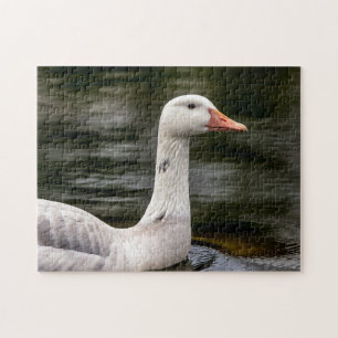 Leucistic Canadian Goose Jigsaw Puzzle
