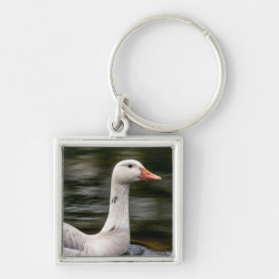Leucistic Canadian Goose Keychain