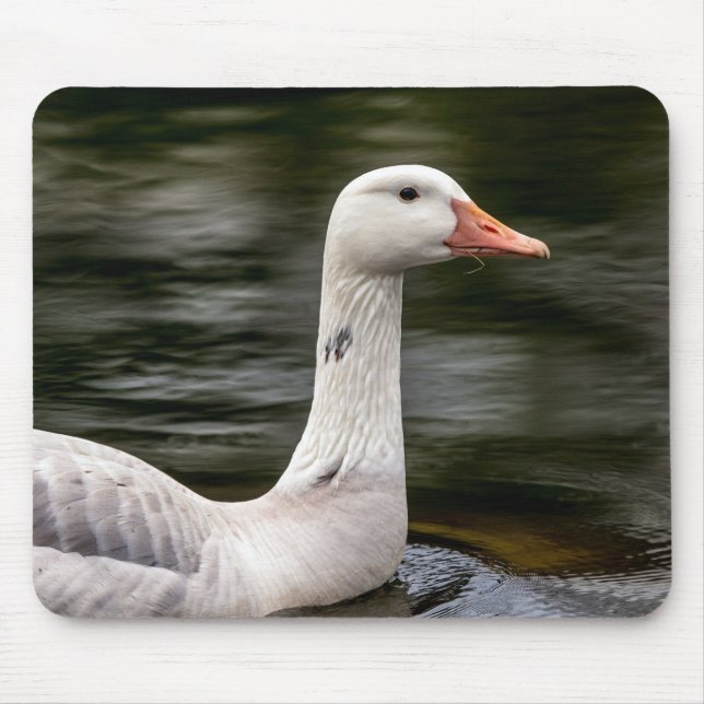 Leucistic Canadian Goose Mouse Pad (Front)