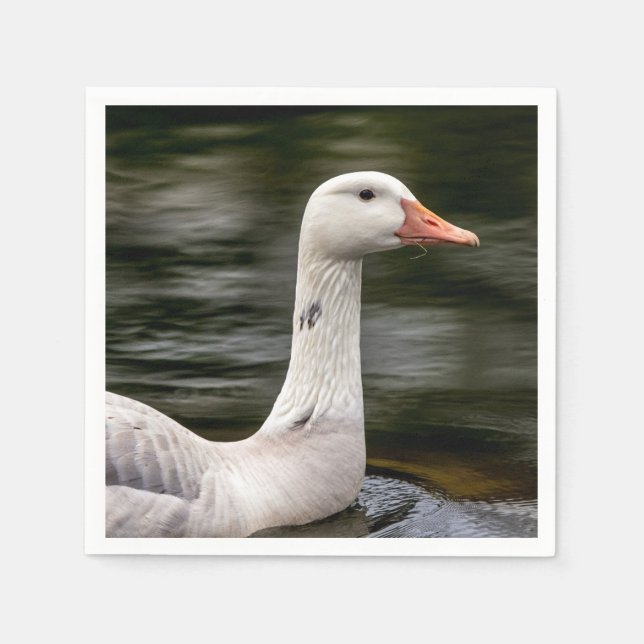 Leucistic Canadian Goose Napkin (Front)