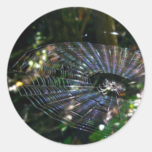 Leugauge Orb Web Stickers