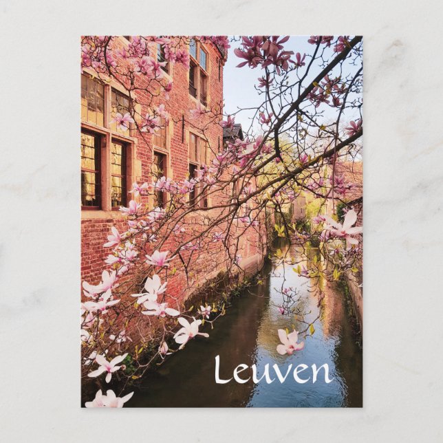 Leuven Belgique photo de voyage Carte postale (Devant)