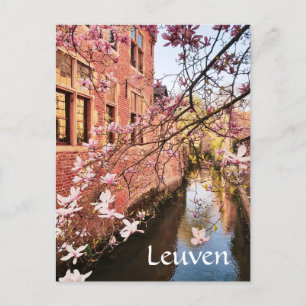 Leuven Belgium travel photo   Postcard