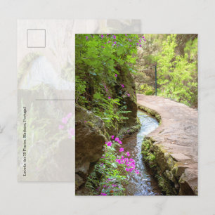 Levada das 25 Fontes Madeira Postcard