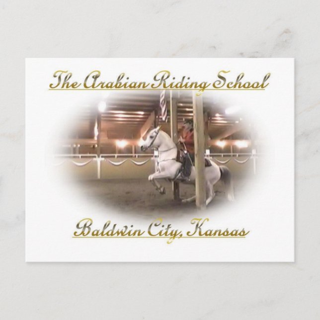 Levade w/ rider, Postcard (Front)