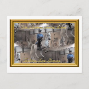 Levade with rider Postcard