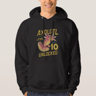 Level 10 Unlocked Funny Birthday 10th Gamin Kawaii Hoodie