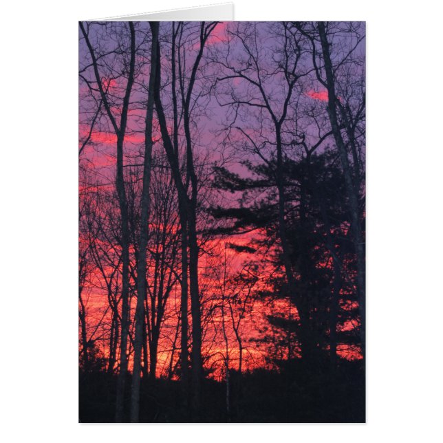 Lever de soleil (Devant)