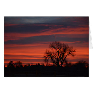 Lever de soleil au lac harper