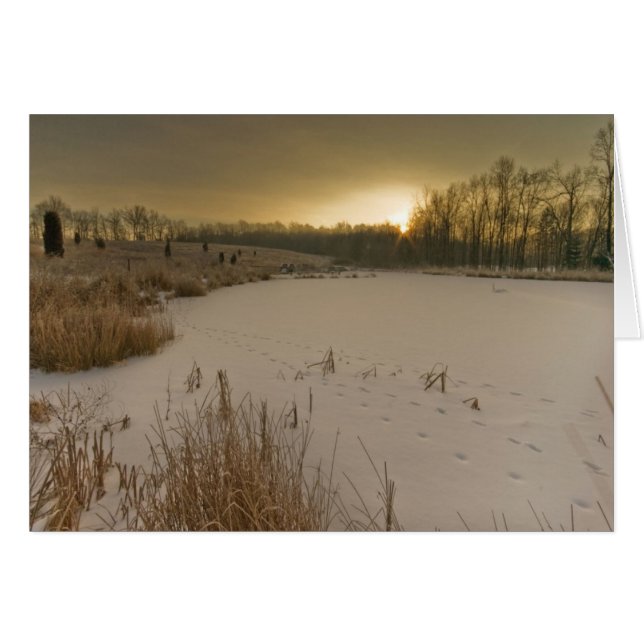 Lever de soleil d'hiver de Gorman (Devant Horizontal)
