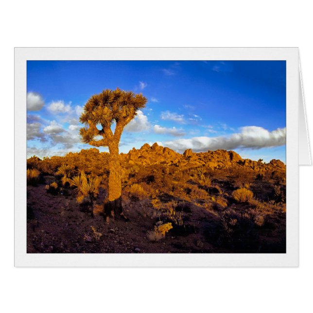 " Lever de soleil sur le désert vivant " (Devant horizontal)