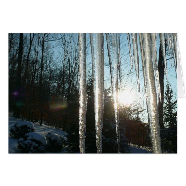 Lever du soleil à travers Icicles hiver Photograph (Devant horizontal)