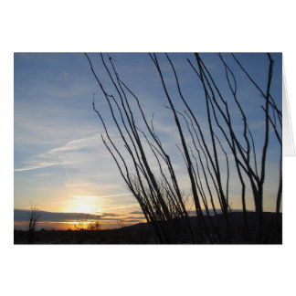 Lever du soleil d'Ocotillo