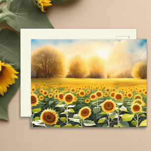 Lever du soleil sur un champ de Sunflower Carte po