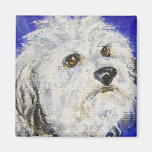 Levine’s Duncan Magnet