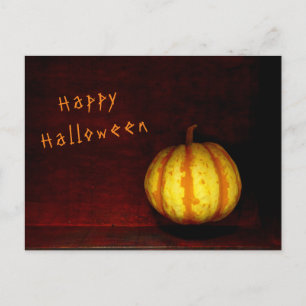 Levitate Pumpkin - Still Life Postcard