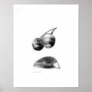 Levitation Poster