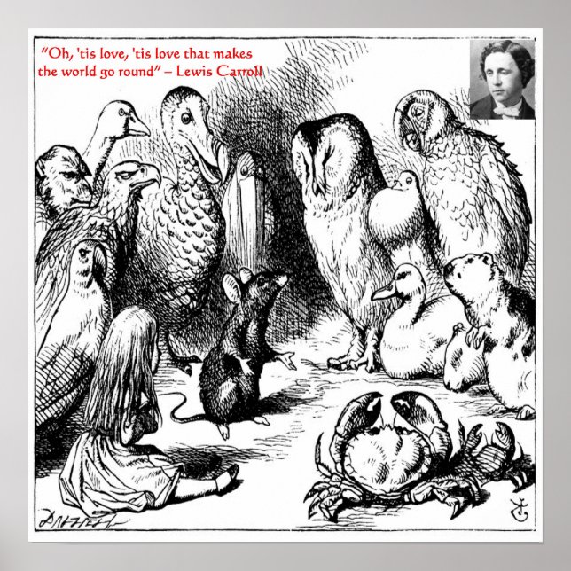 Lewis Carroll Looking Glass Illustration & Quote Poster (Front)