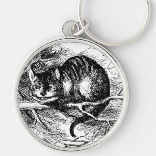 Lewis Carroll's Cheshire Cat Keychain
