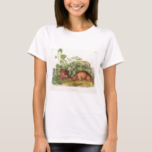 Lewi's Marmot T-Shirt