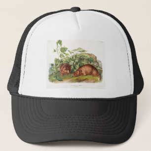 Lewi's Marmot Trucker Hat