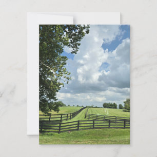 Lexington, Kentucky Postcard