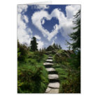 L'extrémité de la traînée