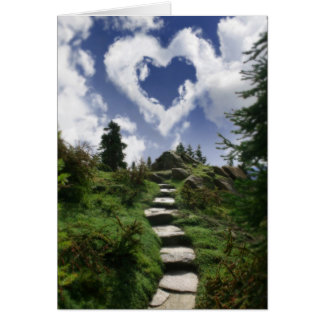 L'extrémité de la traînée