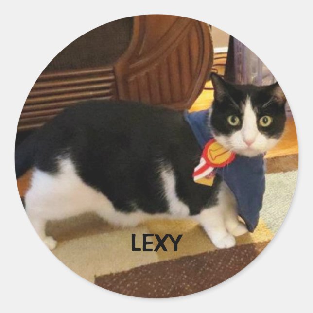 LEXY STICKER (Front)