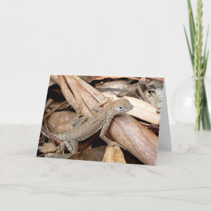 Lézard dans la carte de voeux sèche de feuille