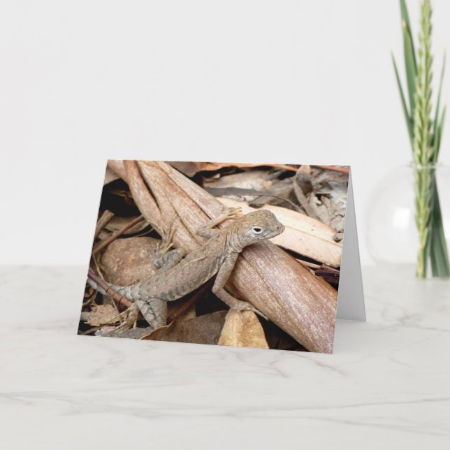 Lézard dans la carte de voeux sèche de feuille (Devant)