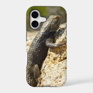 Lézard épineux à dos jaune à Joshua Tree