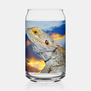 Lézard gris au coucher du soleil