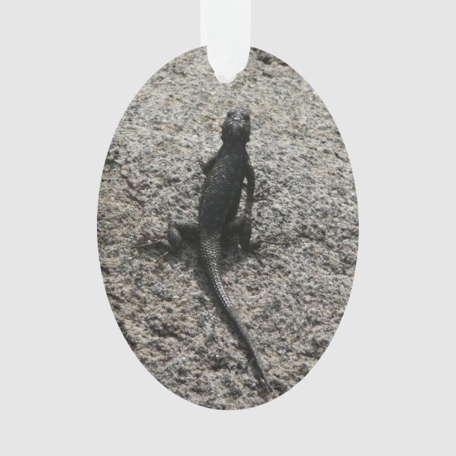 Lézard noir (devant)