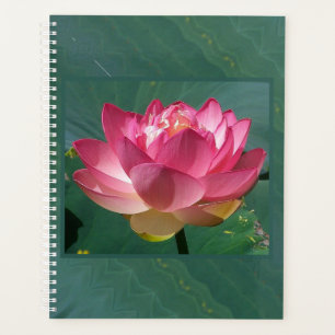 Lg Planner Lotus rose