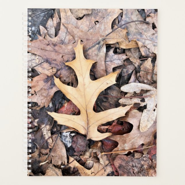 Lg Planner Oak Leaf (Front)