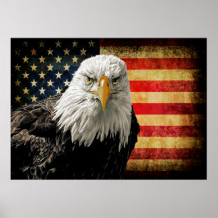 Lg supplémentaire. Poster du drapeau américain pui