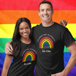 LGBT Gay Pride Celebrating Diversity Love Is Love T-Shirt
