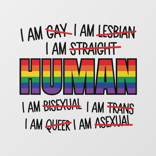 LGBT I'm gay,  I'm Human Window Cling (Sheet)
